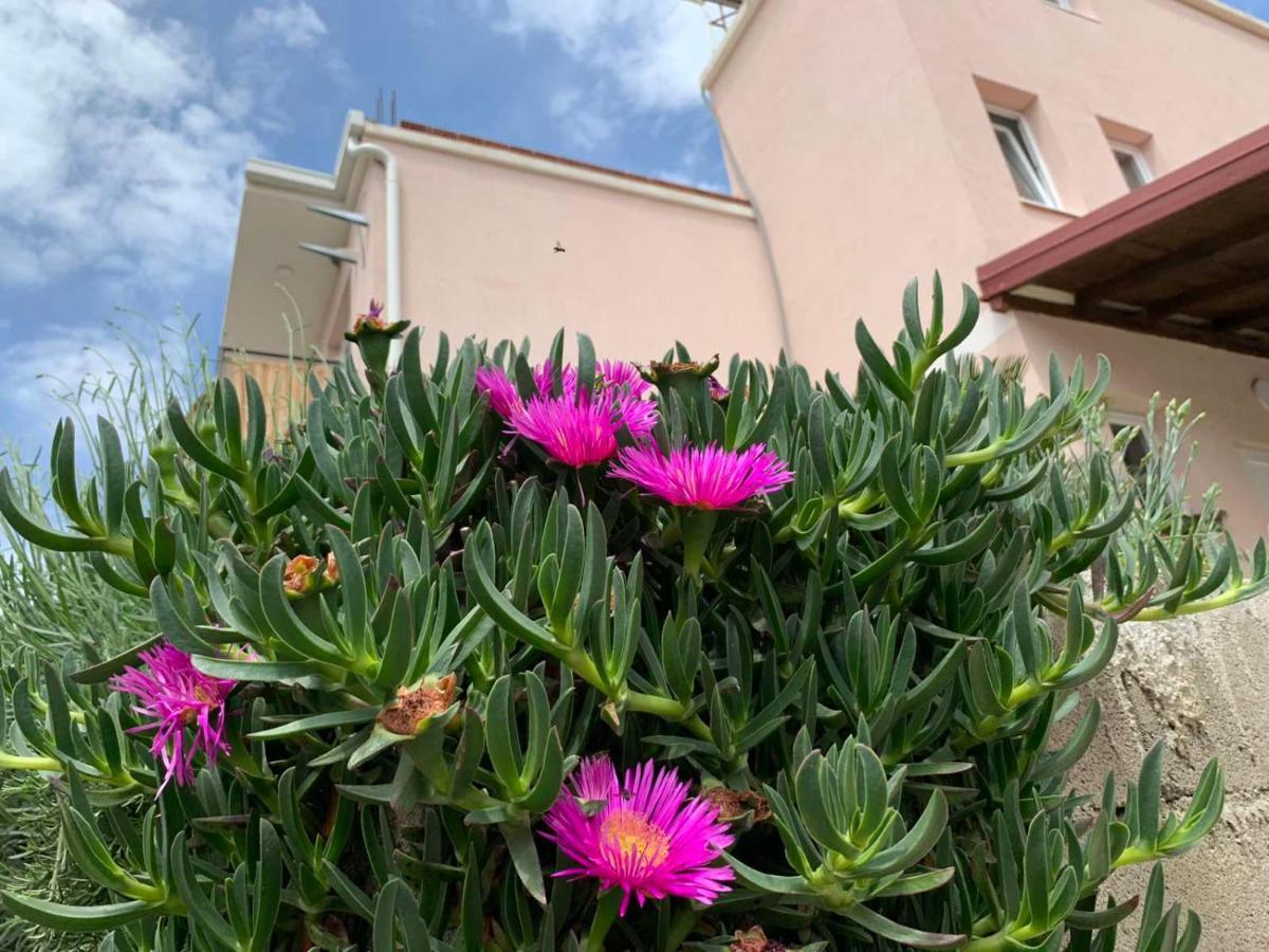 Vila Bella Jaz Budva Eksteriør bilde